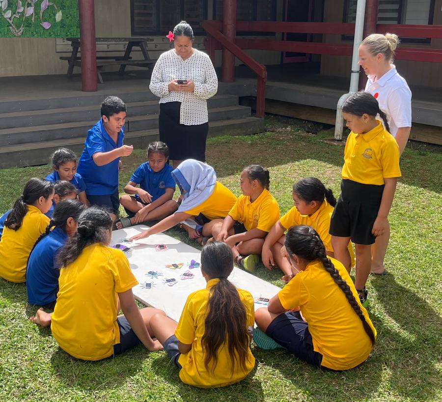 Niue Renewable Energy Phase 2